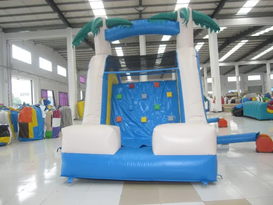 Wet and Dry Inflatable Slides (AQ1003-2)