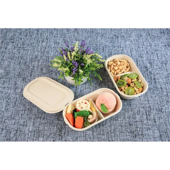 Biodegradable Kraft Salad Bowl with Lid