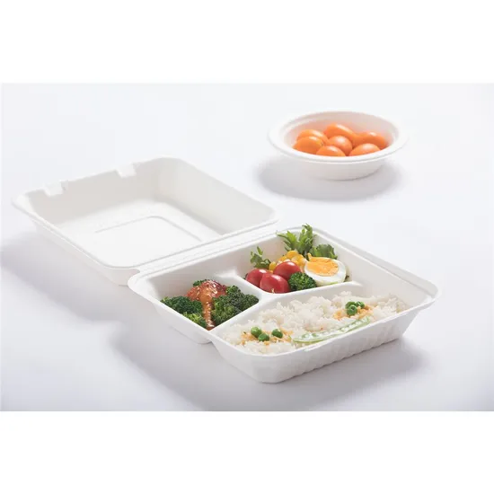 Compostable 3-Comp Clamshell Sugarcane Bagasse Food Container