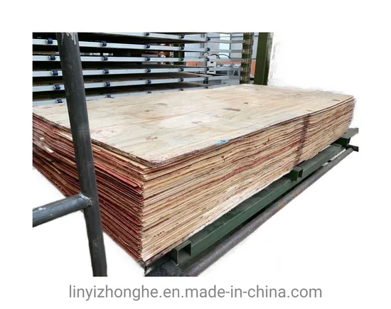 600 Tons 25 Layers Hot Press China Machine Woodworking Machinery