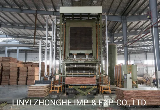 800 Tons 35 Layers Automatic Plywood Hot Press Machine From Linyi China