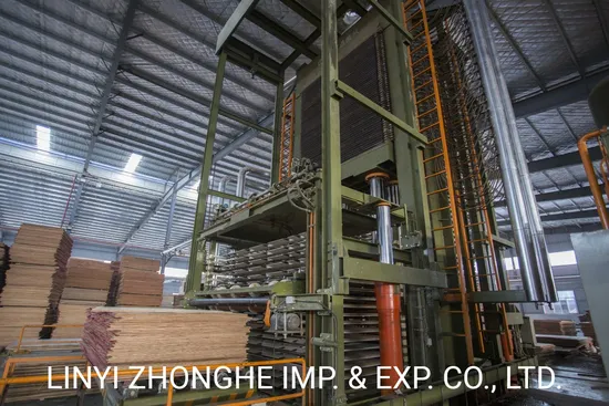 800 Tons 35 Layers Automatic Plywood Hot Press Machine From Linyi China