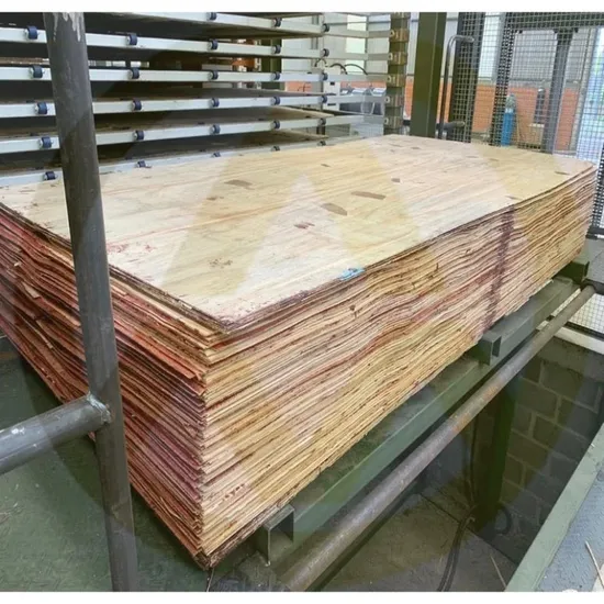 China Manufacturer Automatic Plywood Production Line Sales Price Wood Veneer Hotpress