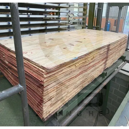 Factory Price Melamine Board Plywood Making Machine Wood Based Panels Machinery