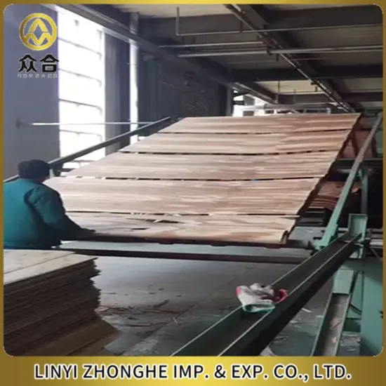 High-Efficiency Automatic Wood Veneer Drying Machine for Optimal Results