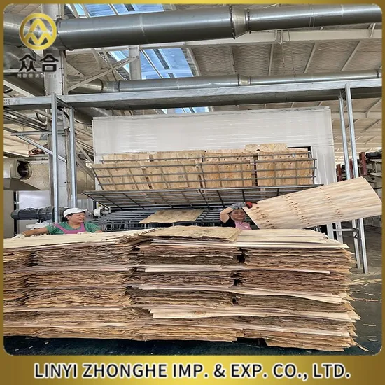 High-Efficiency Automatic Wood Veneer Drying Machine for Optimal Results