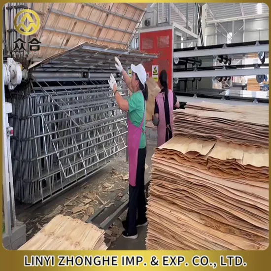 Plywood Thin Veneer Drying Machine