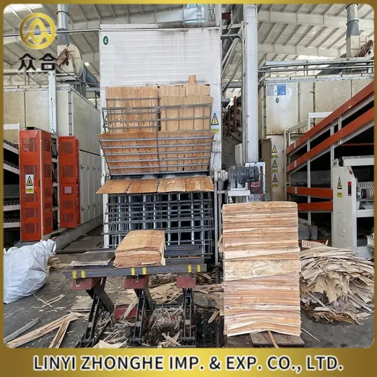 Wood Veneer Drying Machine for Plywood