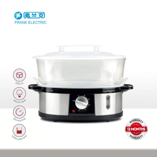 Electric Steamer for Home with CB Approve