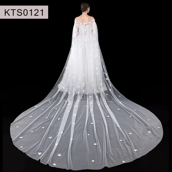 Elegant 350cm Long Wedding Veils with Edge Lace Appliques for Brides