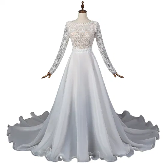 Ivory Lace Sleeves A-Line Organza Wedding Dress for Bridal