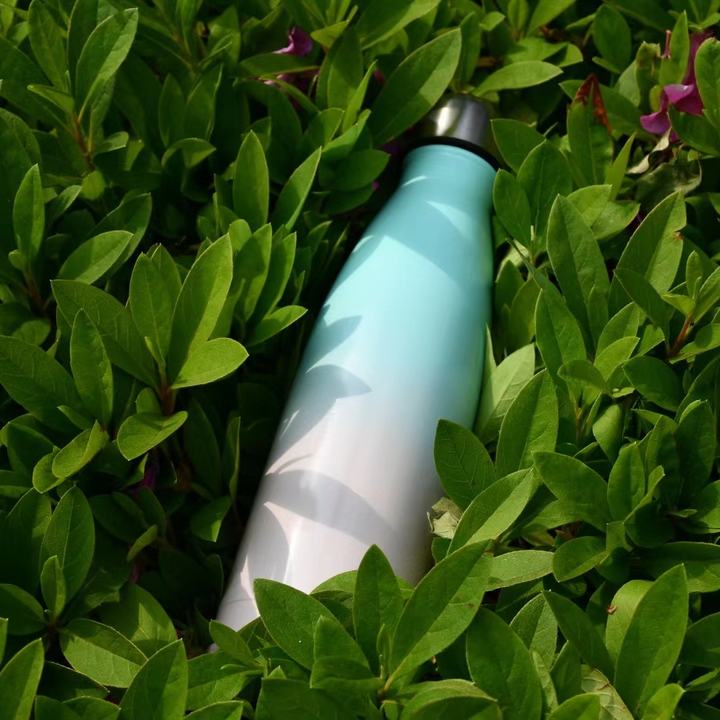 18/8 Stainless Steel Cola Shape Double Wall Vacuum Seal  Custom Thermos Gym Sport Drink Insulated Water Bottles Contract Manufacturing Hub