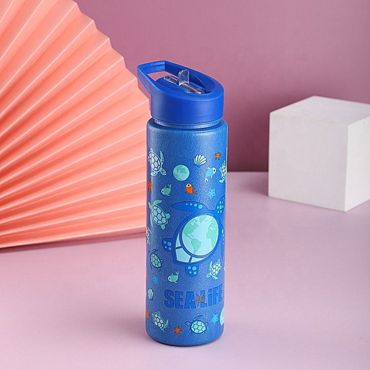 700ml wide mouth leakproof Eco-friendly bpa free custom cute plastic wheat straw biodegradable material water bottle Manufacturing Plant