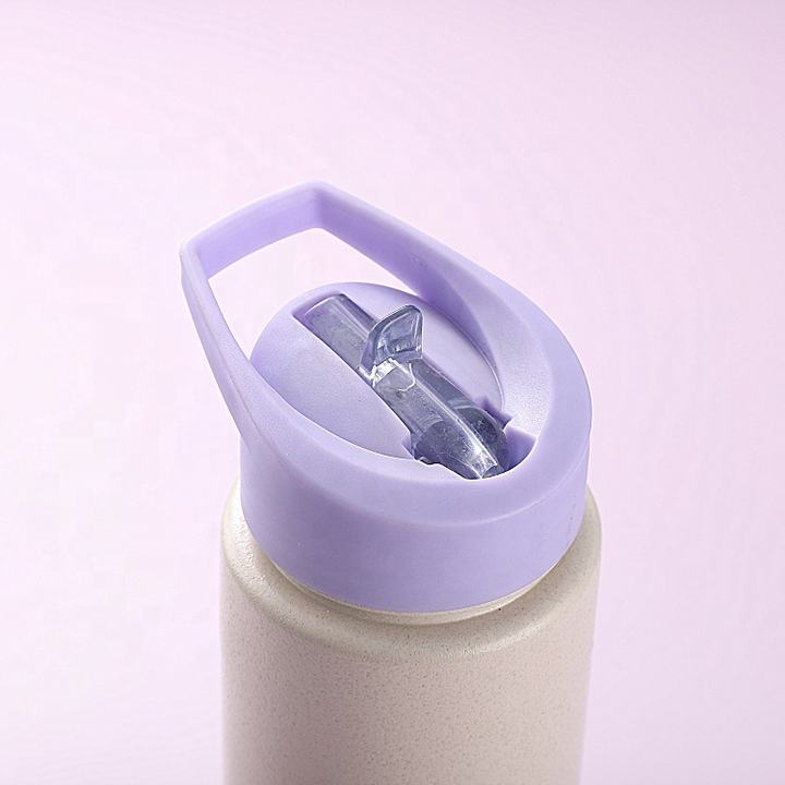 700ml wide mouth leakproof Eco-friendly bpa free custom cute plastic wheat straw biodegradable material water bottle Manufacturing Plant