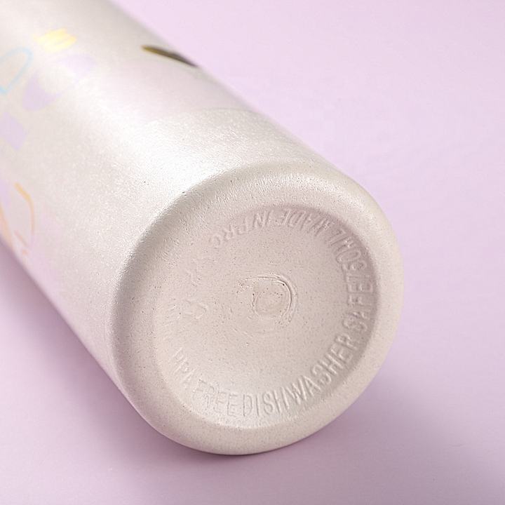 700ml wide mouth leakproof Eco-friendly bpa free custom cute plastic wheat straw biodegradable material water bottle Manufacturing Plant