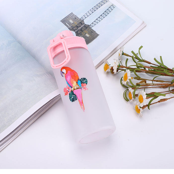 BPA free sports plastic tritan child children kids water bottle Manufacturing Services Export