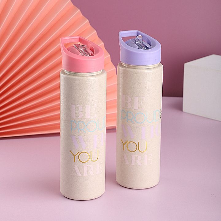China factory wholesale Eco-friendly drinkware Reusable biodegradable wheat-straw plastic water bottle with portable handle OEM Wholesale Outlet