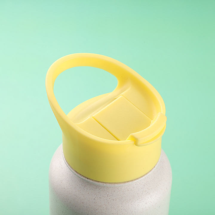 Eco Friendly Biodegradable durable Lightweight multifunction drinking bottle Wheat Straw water bottle with with Lid and handle China Exporter B2B