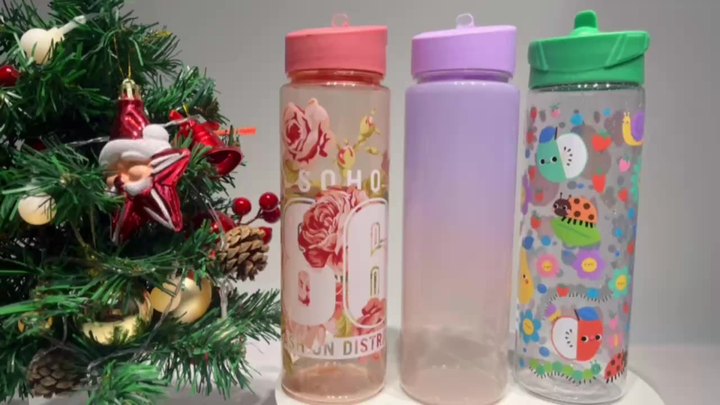 Eco Sport Water Bottle with Straw Friendly Cute Summer Bpa Free Thermal Transfer Printing Kids Cup Custom Pattern Student Unisex Industrial Exporter Operations
