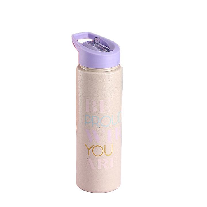 Eco-friendly 700ml portable bpa free sport plastic wheat straw biodegradable material water bottle with custom logo Production Facility Export