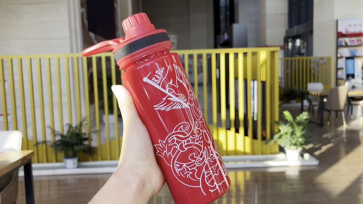 Factory wholesale OEM sport gym portable drinking bottle 850ml bpa free custom logo sport water bottle with portable handle Manufacturer and Supplier Solutions
