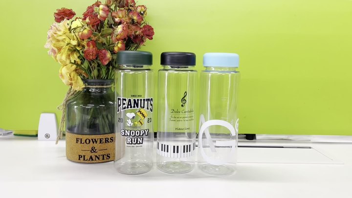Factory wholesale price custom logo and color OEM/ODM cute Clear outdoor 500ml plastic kids water bottles with lid Wholesale Manufacturer