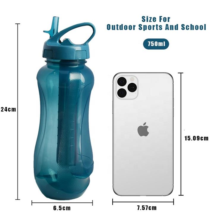 Factory wholesale price promotion France hot sale 750ml  Transparent Sports Plastic Popsicle Water Bottle with straw handle Factory Pricing Export