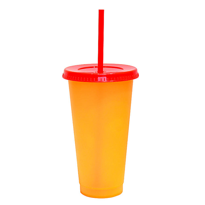Food Grade Single-wall Custom Logo Kids Tumbler Plastic Color Changing Reusable Cold Cups Set Travel Mugs Drinkware Modern 710ml Global Wholesale Market Operations