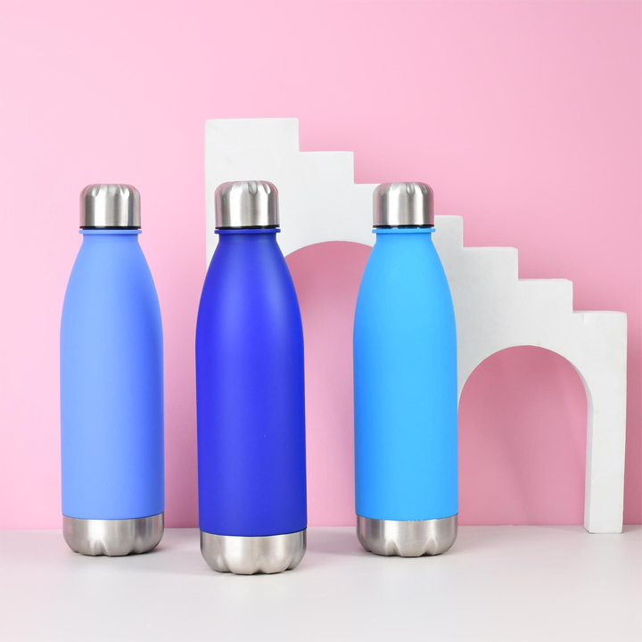 Hot Selling Oem Custom Eco Double Wall Sport Bottle Vacuum Insulated Plastic Cola Water Bottle For Gift China Manufacturing Distributor