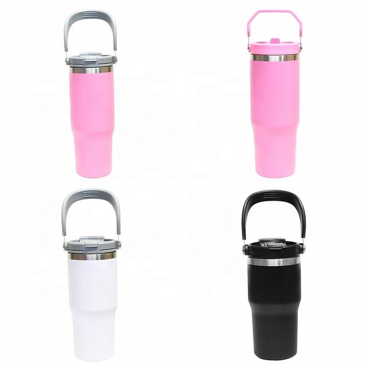 OEM/ODM BPA FREE Drinkware 20 oz. Steel Double-wall Vacuum Insulated Flask with Flip Top Lid Manufacturing Services Solutions