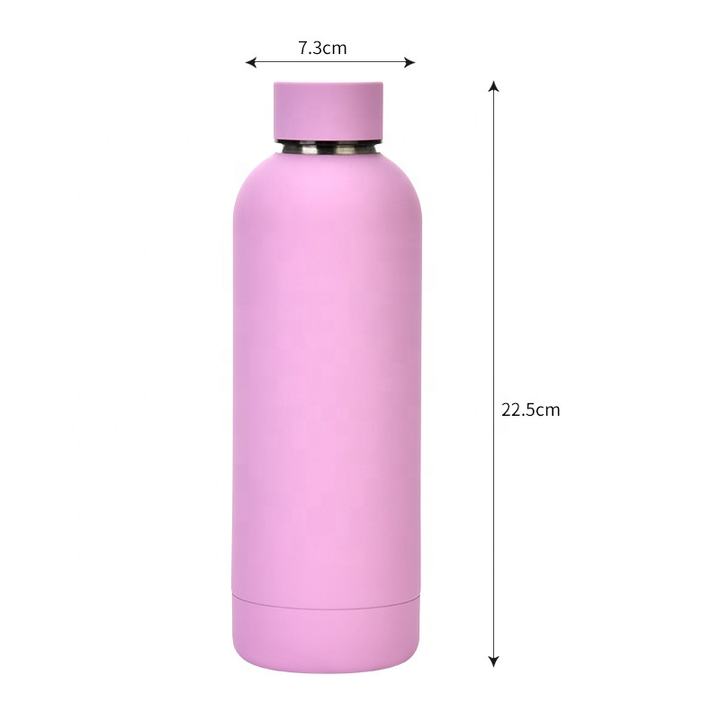 Stainless Steel Outdoor Frosted Water Bottle Portable Sports Cup Custom Mug Stainless Steel Vacuum Flasks & Thermoses Rapid Production Solutions