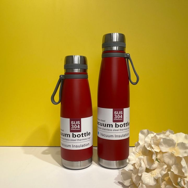 Wholesale stainless steel drinking cup custom logo sport vacuum flasks gift thermoses bottle with tea infuser and handle Factory Wholesale Export