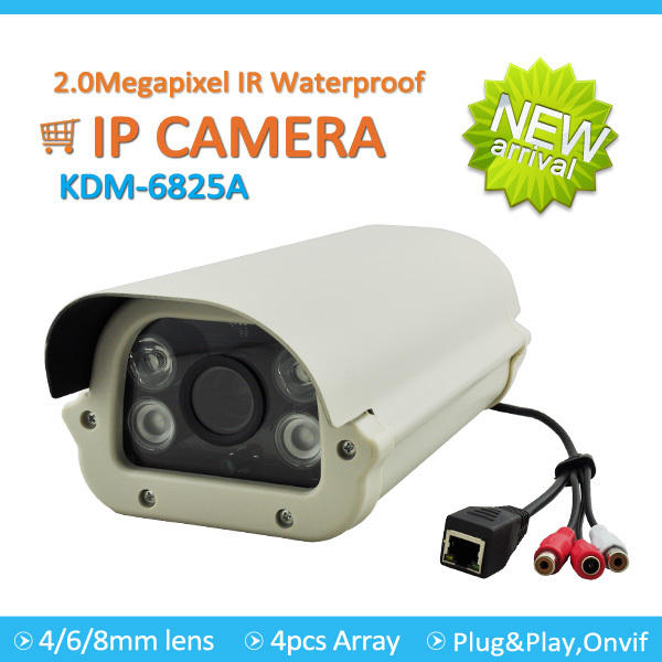 Low Price 2.0Megapixel Popular Waterproof IP IR CCTV Camera Price List