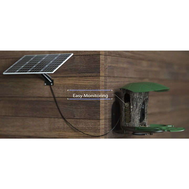 New 2.0Megapixel Solar power Battery 4G for Asian Smart Window Bird Feeder Solar Battery Network  IP66  Camera Wholesale Manufacturer Supply