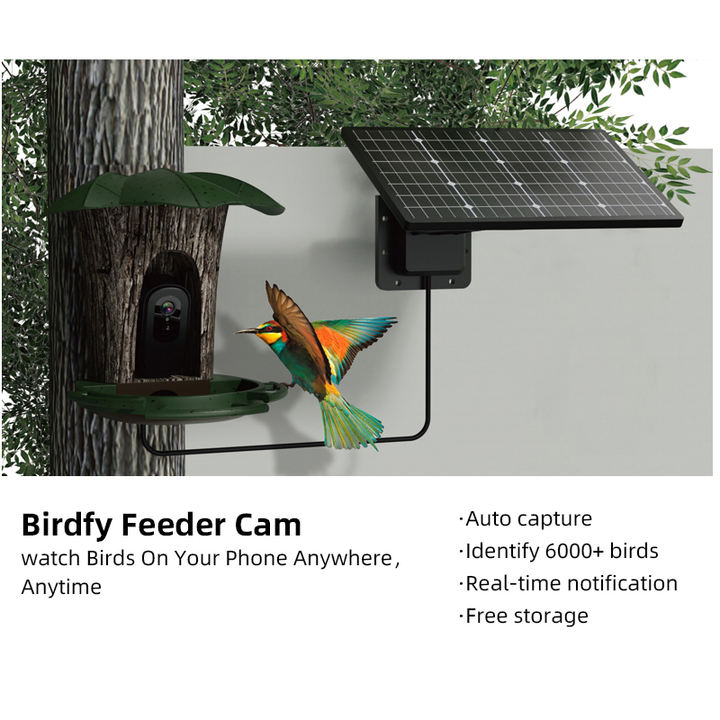 New 2.0Megapixel Solar power Battery 4G for Asian Smart Window Bird Feeder Solar Battery Network  IP66  Camera Wholesale Manufacturer Supply