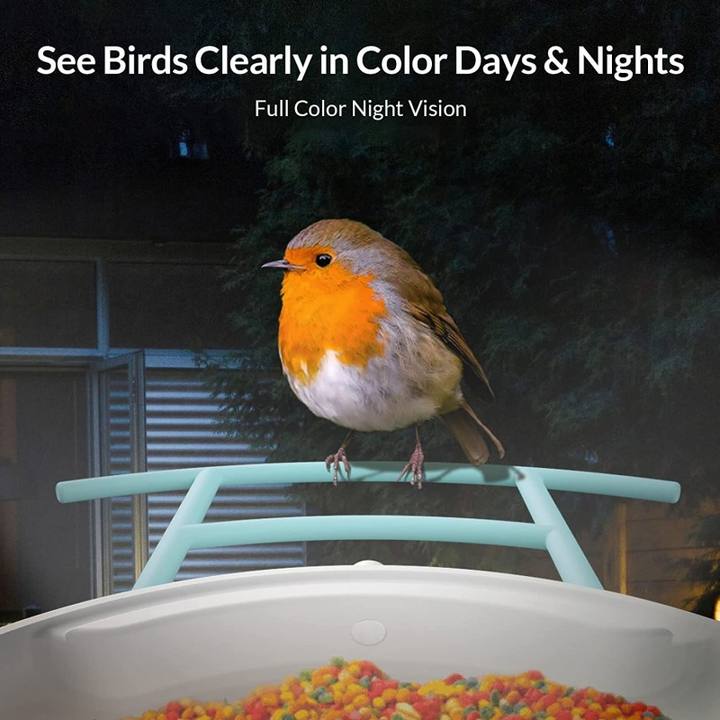 Smart Bird Feeder Camera HD Visual Storage Feeders Night Video Camera Wireless Solar Power Battery Camera 1080P