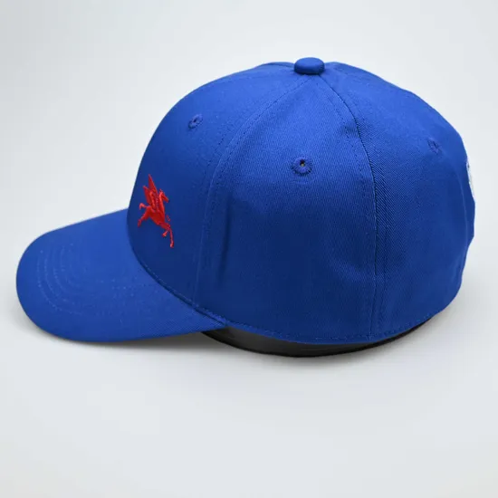 Custom Adjustable Blue Fitted 6 Panel Embroidery Logo Baseball Caps