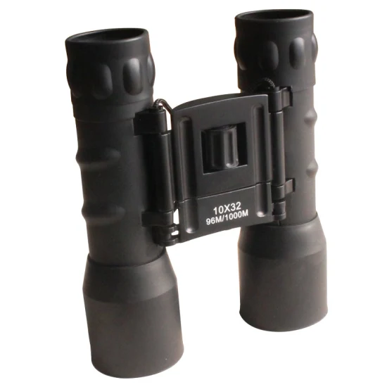 Inexpensive Middle Size Binoculars 10X32 Fully Coated