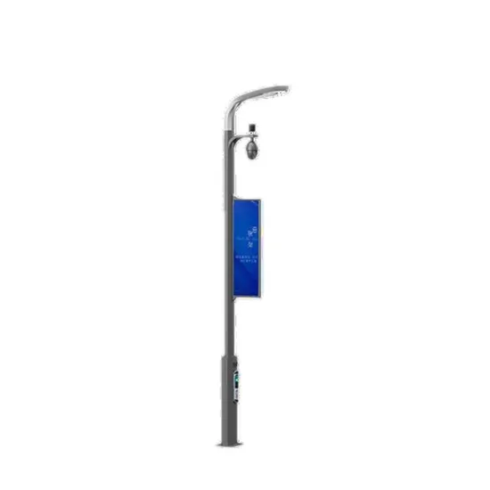 Professional Manufacturer Customization Outdoor Modern Smart City Lighting Pole with CCTV Camera