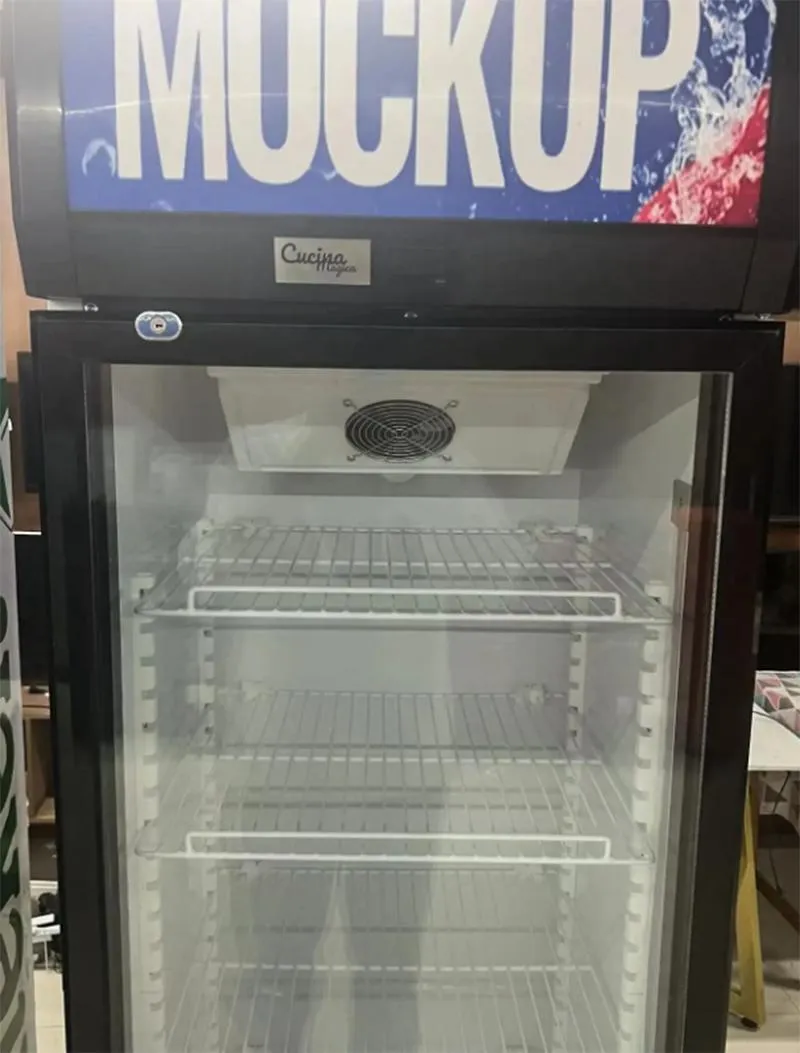 220L OEM Upright Standing Display Fridge Show Case Refrigerator with LED