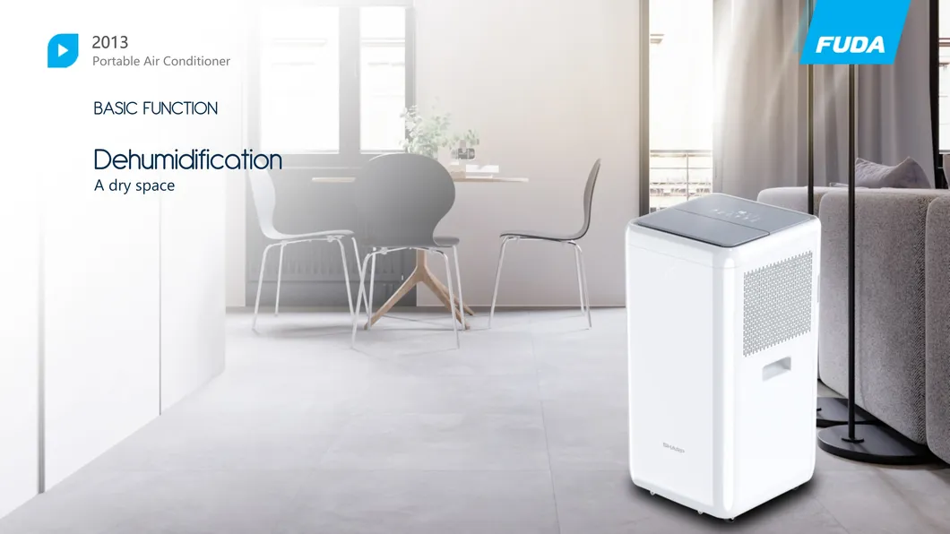 7, 000/8, 000/9, 000/10, 000/12, 000 BTU/H Cooling Capacity Smart Portable Air Conditioner for Home and Office