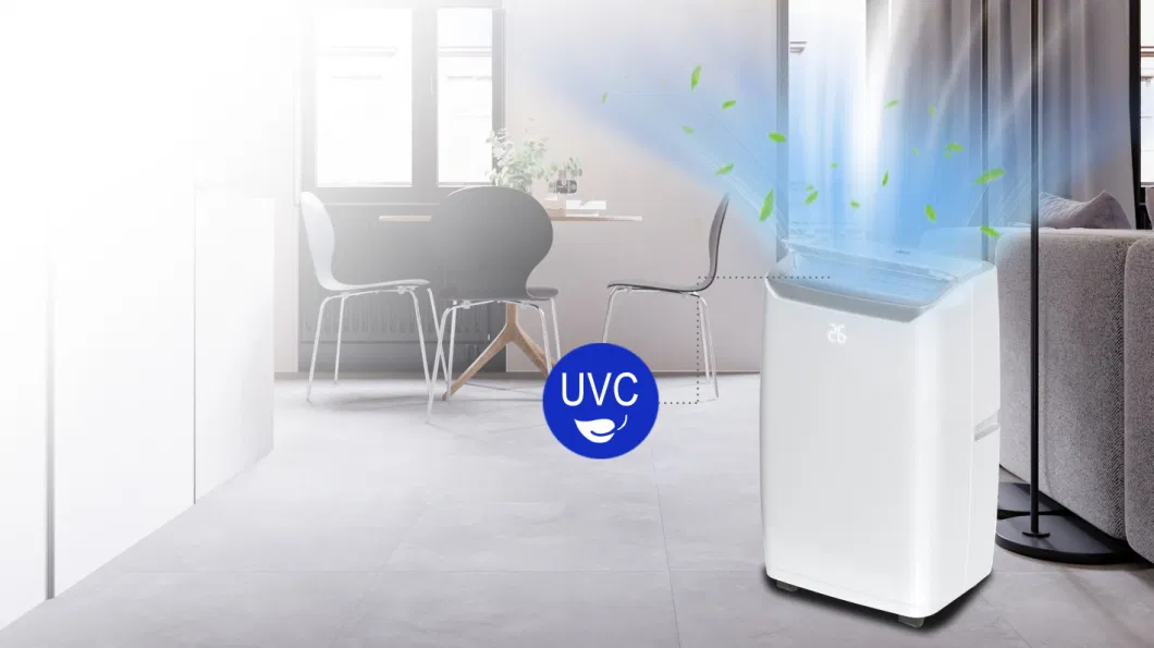 High Quality Fashion Air Conditioner Built-in Dehumidifier and Fan Mode with WiFi