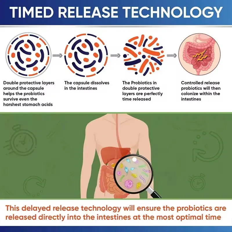 OEM/ODM Enhances Immunity and Intestinal Health Gummies with 5 Billion Probiotics Supplements