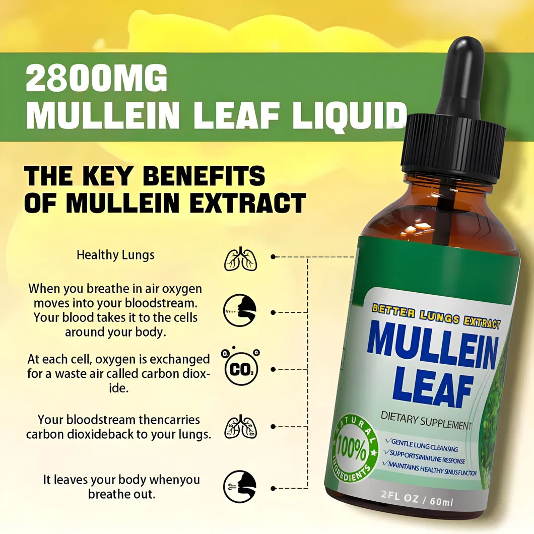 OEM/ODM Mullein Drops - Lung Clearing - Immune Support, Detoxification and Respiratory Support Herbal Supplement - Mullein Leaf Extract