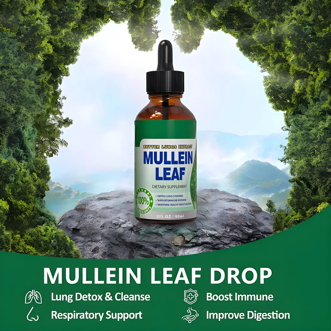 OEM/ODM Mullein Drops - Lung Clearing - Immune Support, Detoxification and Respiratory Support Herbal Supplement - Mullein Leaf Extract