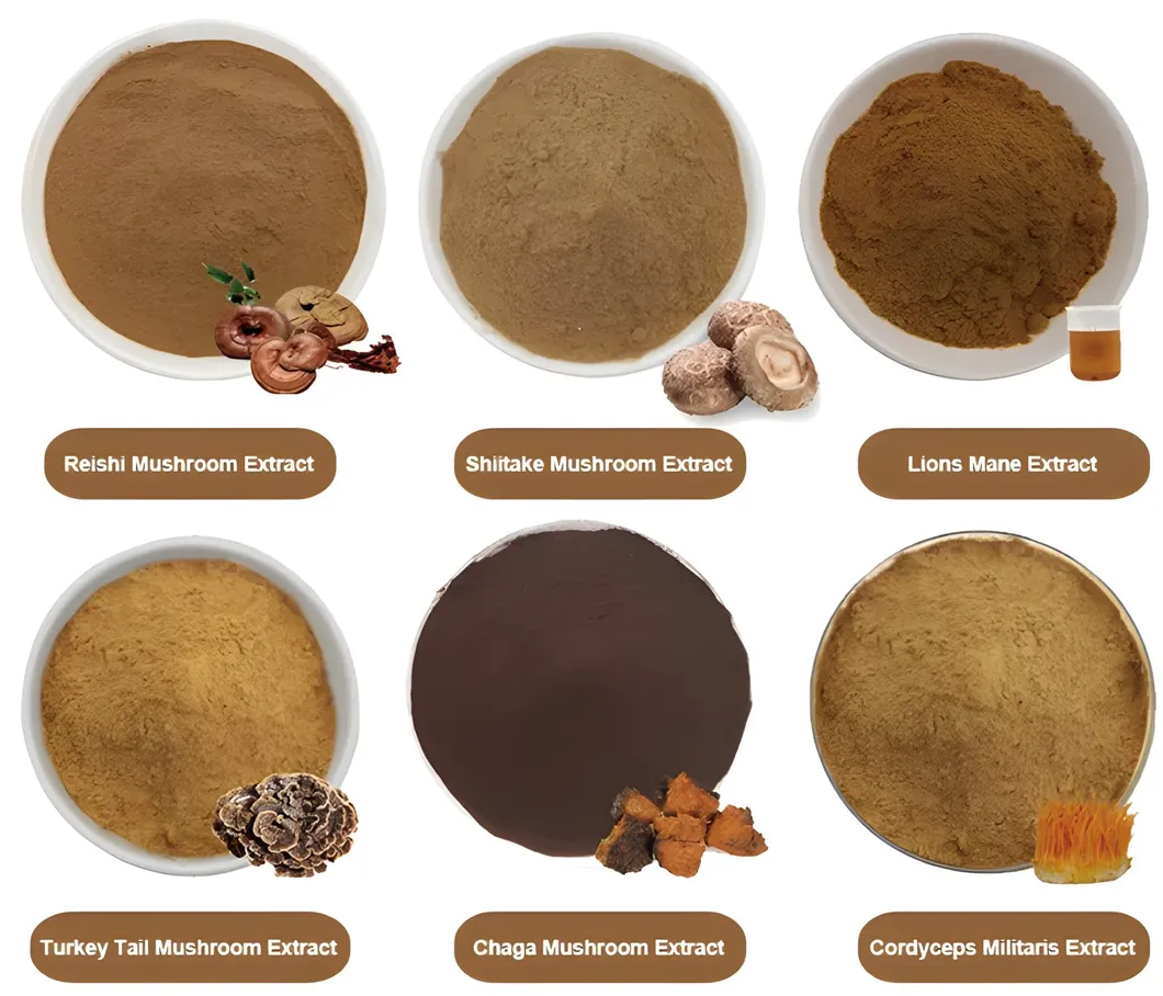 OEM/ODM Mushroom Coffee Own Label Powder Reishi Lion′s Mane Extract Instant Coffee Powder