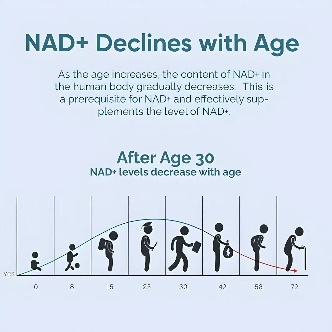 OEM/ODM Nad Nicotinamide Adenine Dinucleotide Vitamin Nad Capsules + Resveratrol Extract Supplement