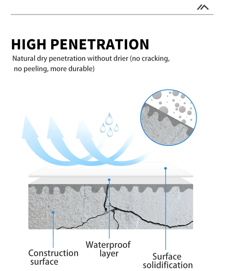 OEM Hot Selling Waterproof Leak Seal Repair Spray 400 Ml for Wall Sealing