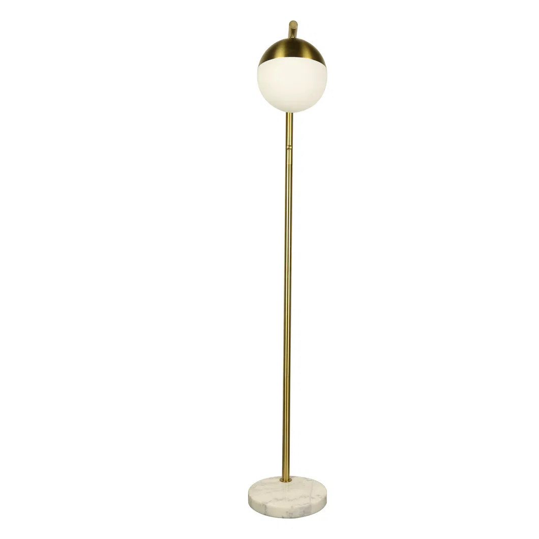 Simple Nordic Bedroom Living Room Floor Lamp Spanish Guardian Gold Black and White Silver Gourd Floor Lamp