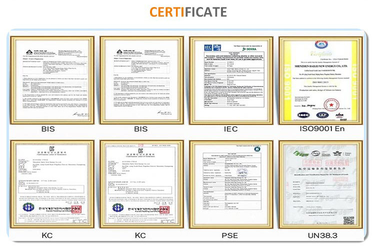 10 Years Warranty 5 kWh 10kWh Wall-Mounted Lifepo4 Wall Mounted Lithium Lfp Battery 51.2V 200Ah Pack